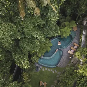 amarea-ubud.ubudhotelsnow.com/